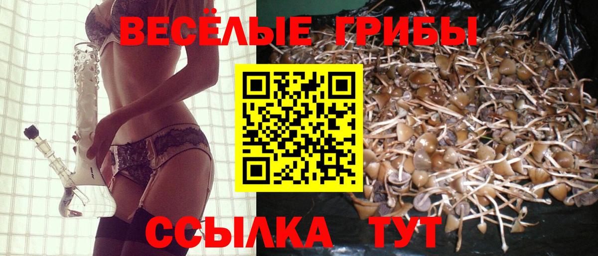 Псилоцибиновые грибы MAGIC MUSHROOMS Ливны